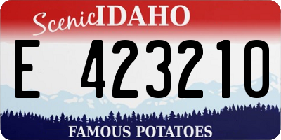 ID license plate E423210