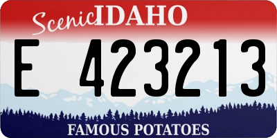 ID license plate E423213