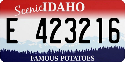 ID license plate E423216