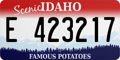 ID license plate E423217