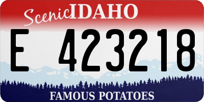 ID license plate E423218