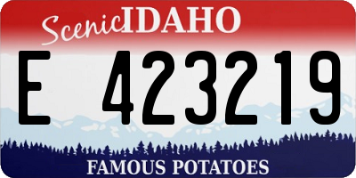 ID license plate E423219