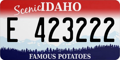 ID license plate E423222