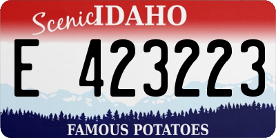 ID license plate E423223