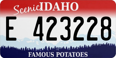 ID license plate E423228