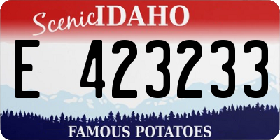 ID license plate E423233