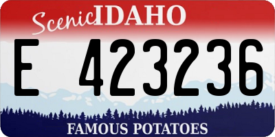 ID license plate E423236