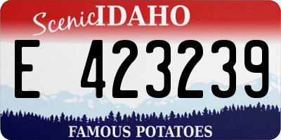 ID license plate E423239