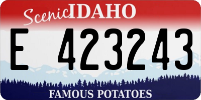ID license plate E423243