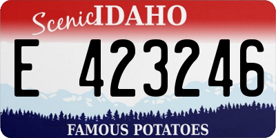 ID license plate E423246