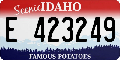 ID license plate E423249