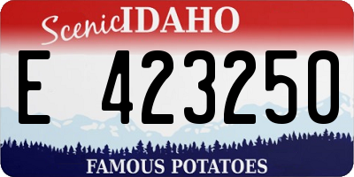 ID license plate E423250