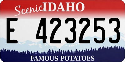 ID license plate E423253
