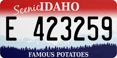 ID license plate E423259