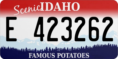 ID license plate E423262