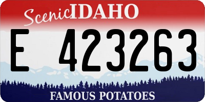 ID license plate E423263