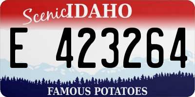 ID license plate E423264