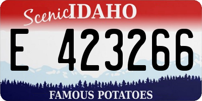 ID license plate E423266