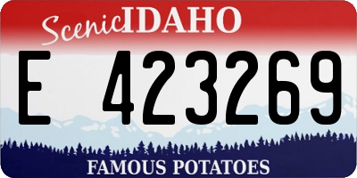 ID license plate E423269