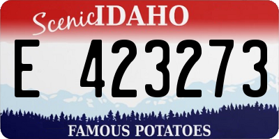 ID license plate E423273