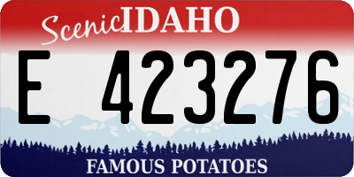 ID license plate E423276