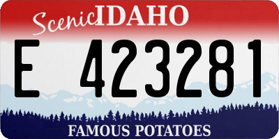 ID license plate E423281