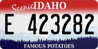 ID license plate E423282
