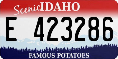 ID license plate E423286