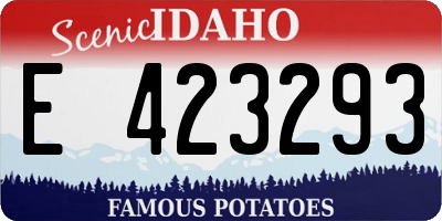 ID license plate E423293