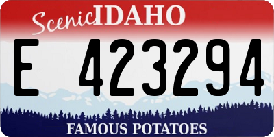 ID license plate E423294