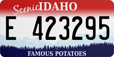 ID license plate E423295