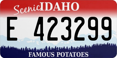 ID license plate E423299