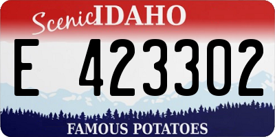 ID license plate E423302