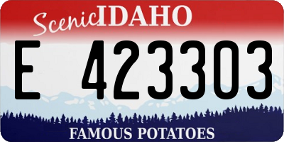ID license plate E423303