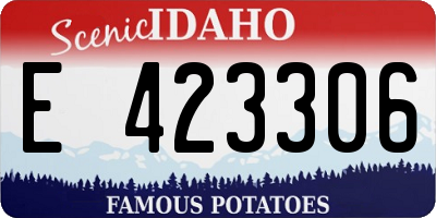 ID license plate E423306