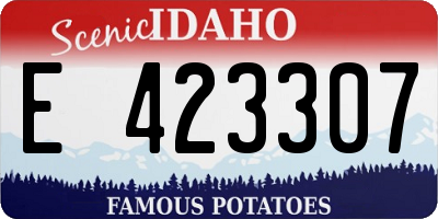 ID license plate E423307