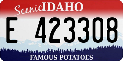 ID license plate E423308