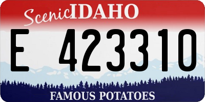 ID license plate E423310