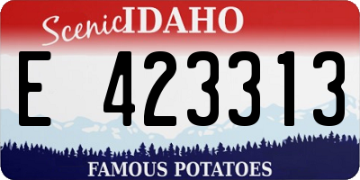 ID license plate E423313