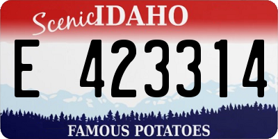 ID license plate E423314