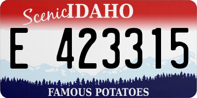 ID license plate E423315
