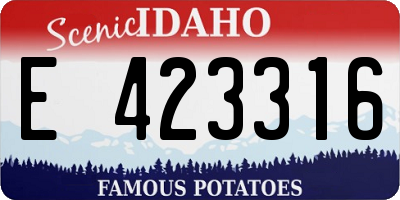 ID license plate E423316