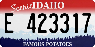 ID license plate E423317
