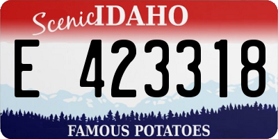 ID license plate E423318
