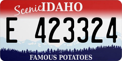 ID license plate E423324
