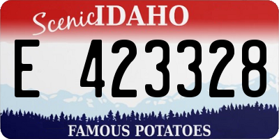 ID license plate E423328
