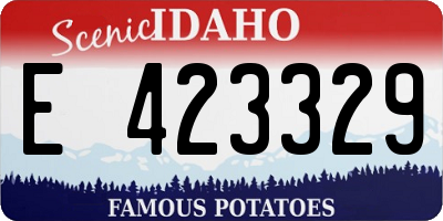 ID license plate E423329