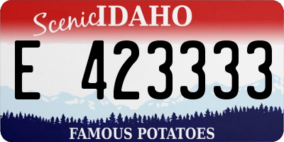 ID license plate E423333