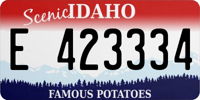 ID license plate E423334