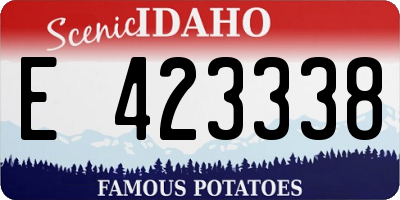 ID license plate E423338